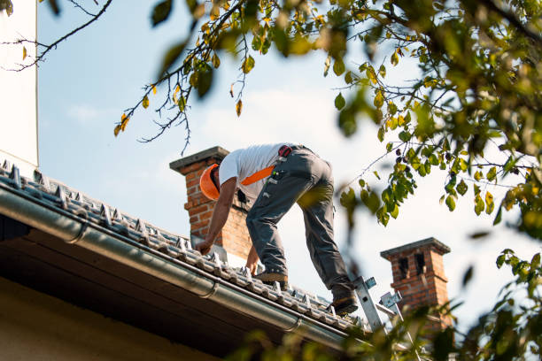 Best Roof Ventilation Installation  in Buchanan, GA