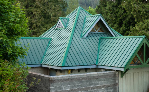Best Roof Installation  in Buchanan, GA