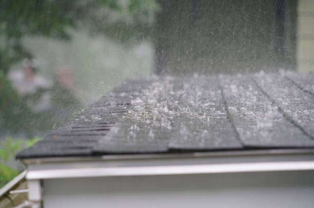 Best Roof Insulation Installation  in Buchanan, GA