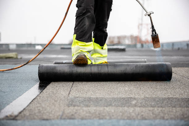 Best Sheet Metal Roofing  in Buchanan, GA