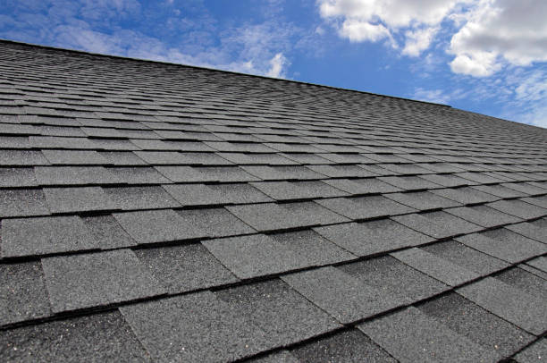 Best Skylight Installation and Repair  in Buchanan, GA